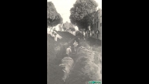 Slide45