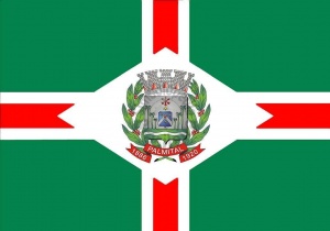 sp-palmital-bandeira