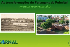 Desing Banners do detto  - 2