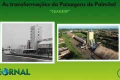 Desing Banners do detto  - 2