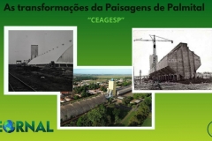 Desing Banners do detto  - 3