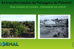 LINHA - 1