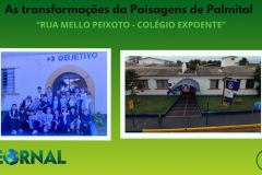 Desing Banners do detto  - 2